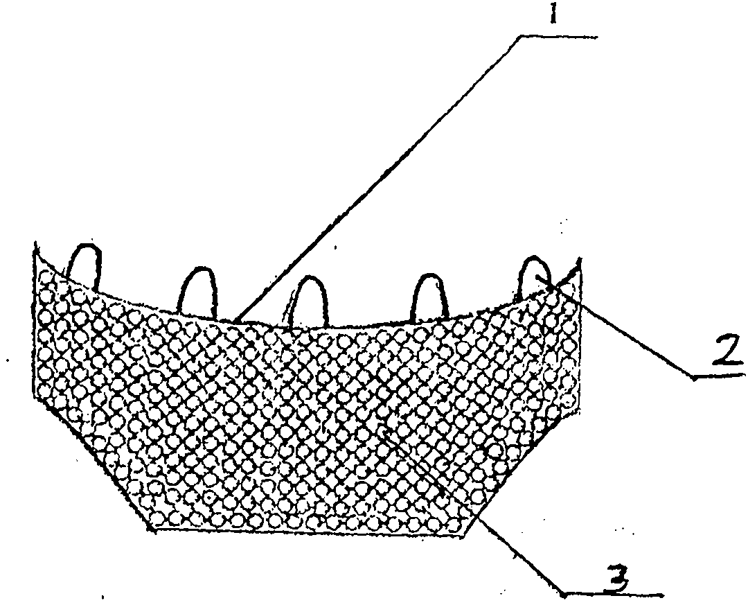 Pearl abdomen curing curtain