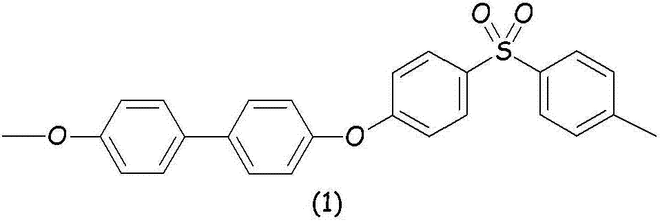 Polymer compositions based on a bio-sourced polyarylene ether ketone