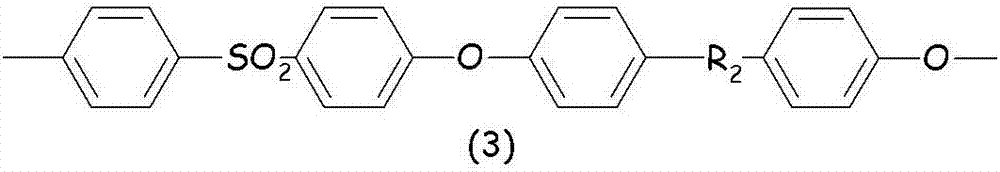 Polymer compositions based on a bio-sourced polyarylene ether ketone