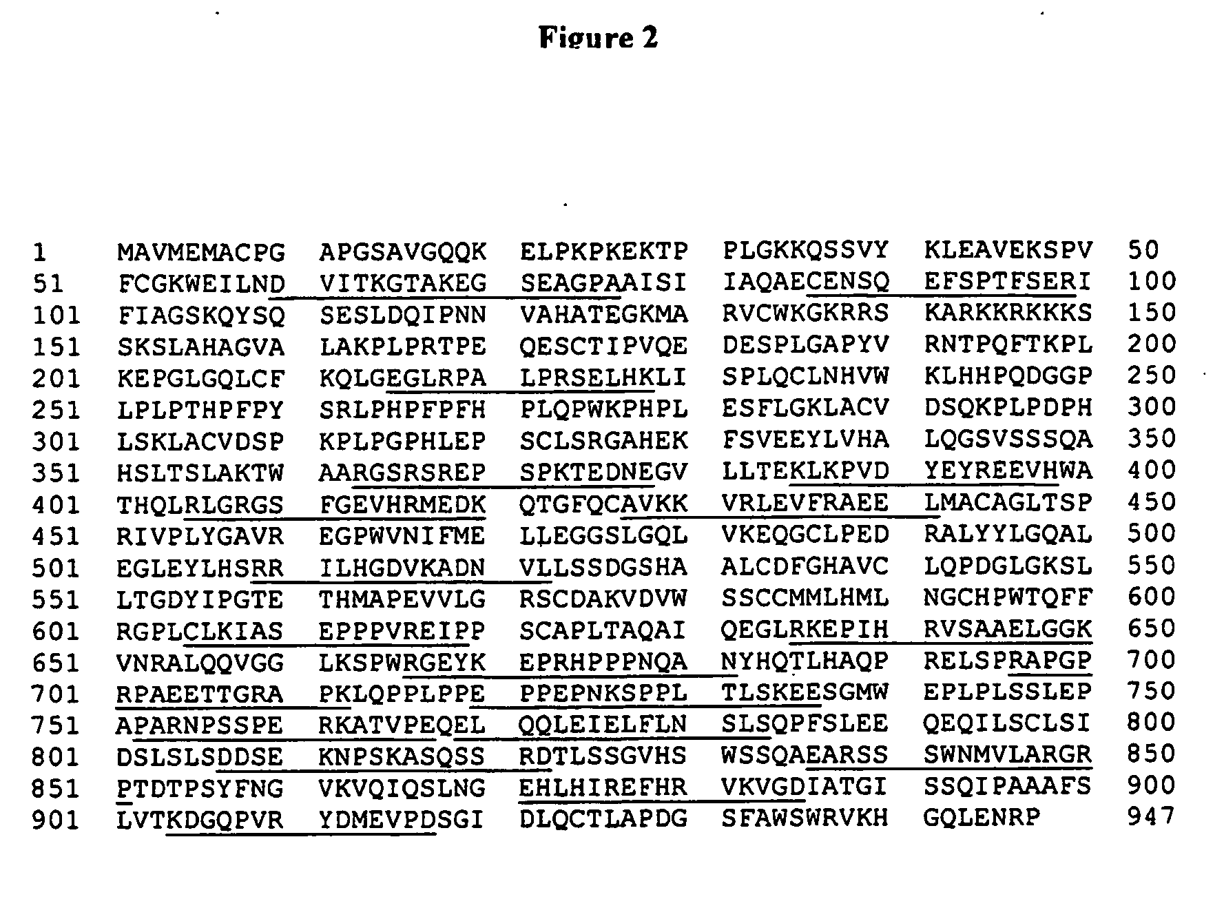 Anti-nik antibodies and uses thereof