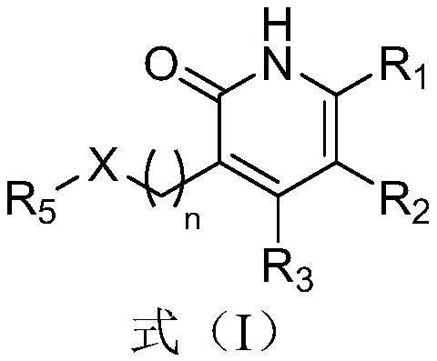 Pyridone derivatives and their use in the preparation of drugs for the prevention and/or treatment of tuberculosis caused by Mycobacterium tuberculosis