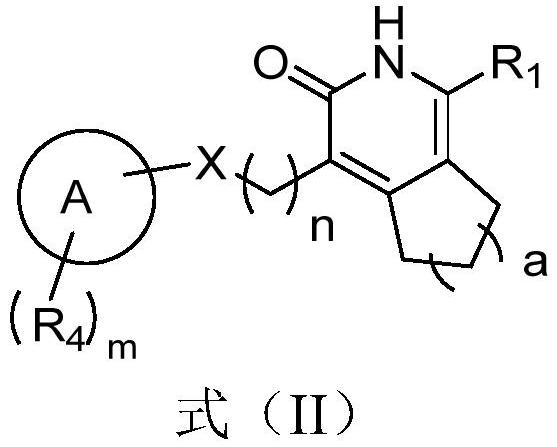 Pyridone derivatives and their use in the preparation of drugs for the prevention and/or treatment of tuberculosis caused by Mycobacterium tuberculosis