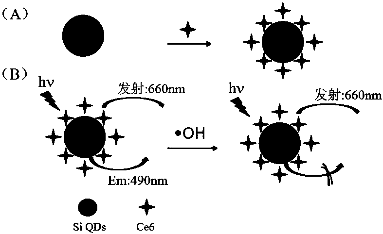 A ratio-type nano-silicon quantum dot fluorescent probe and its preparation method and application