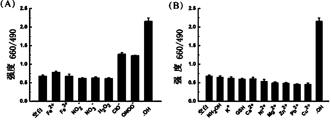 A ratio-type nano-silicon quantum dot fluorescent probe and its preparation method and application