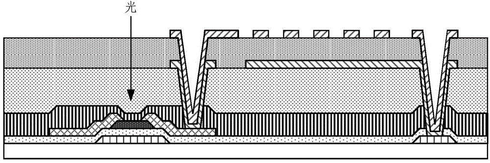 Display substrate and manufacturing method thereof, and display apparatus