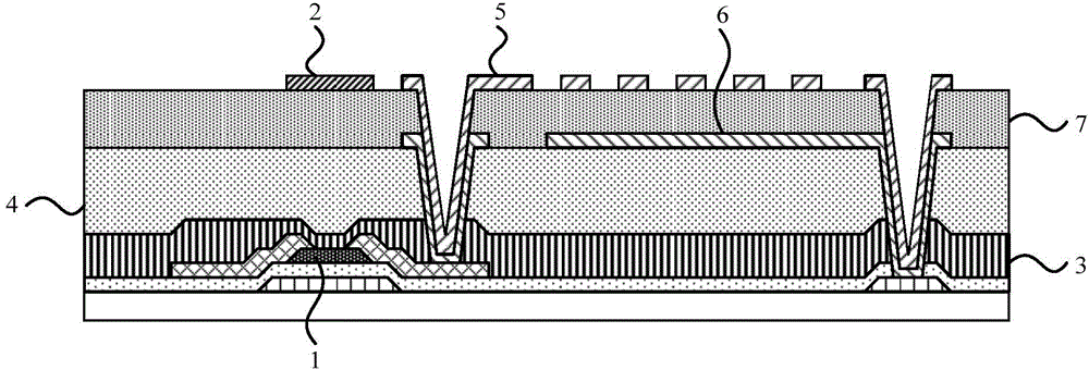 Display substrate and manufacturing method thereof, and display apparatus