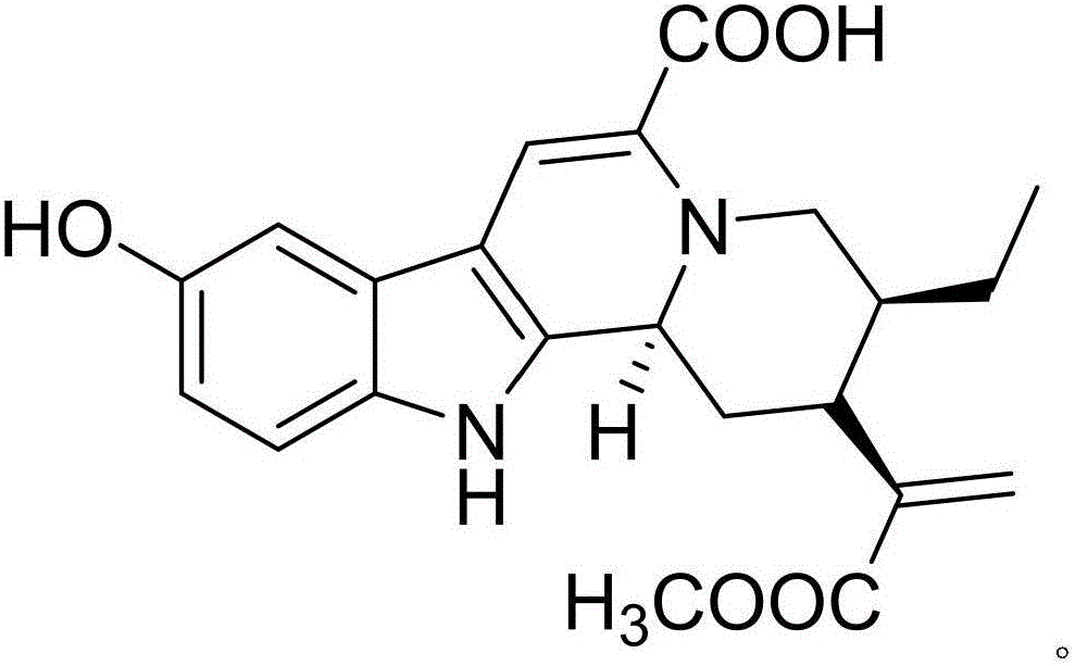 Pharmaceutical composition of amikacin sulfate and medical application of pharmaceutical composition