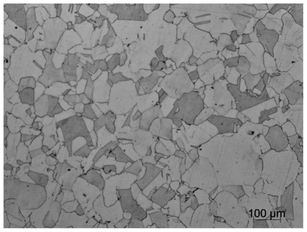 Homogenization treatment process of S31254 super austenitic stainless steel