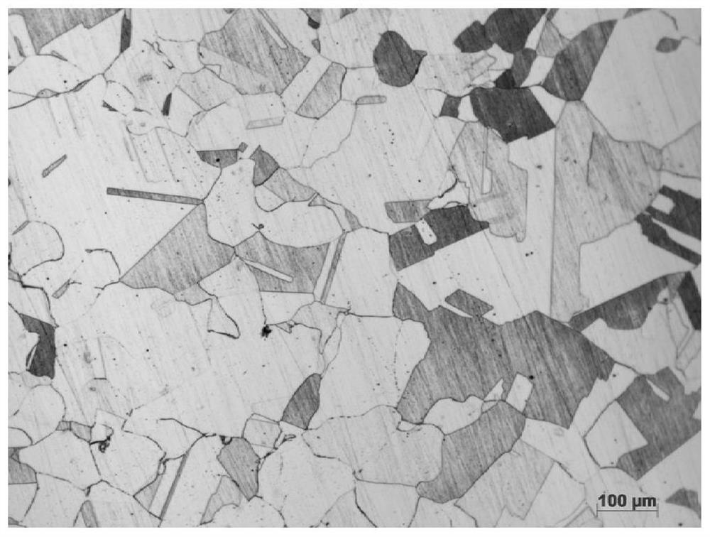 Homogenization treatment process of S31254 super austenitic stainless steel