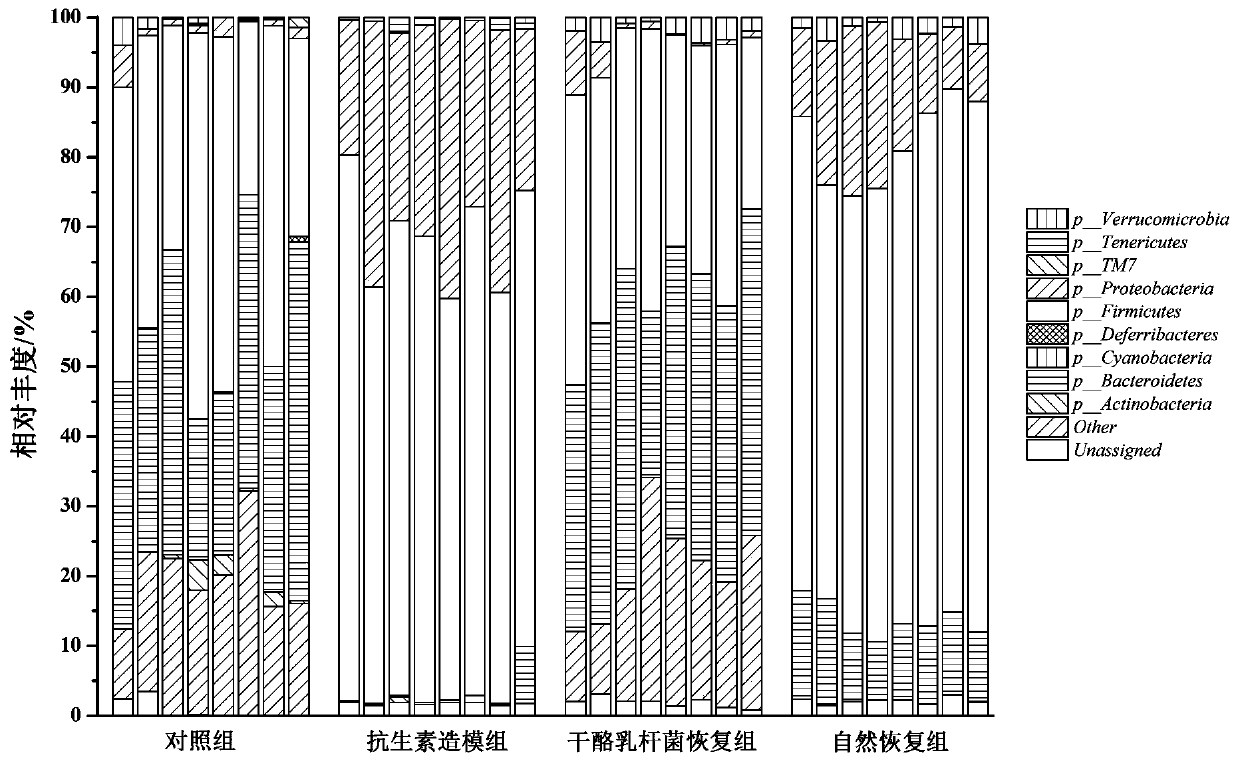 A Lactobacillus casei with regulation of antibiotic-induced flora structure disorder