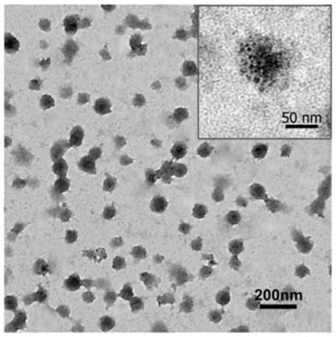 A glioma-targeted magnetic resonance and fluorescence dual-mode imaging contrast agent and preparation method thereof