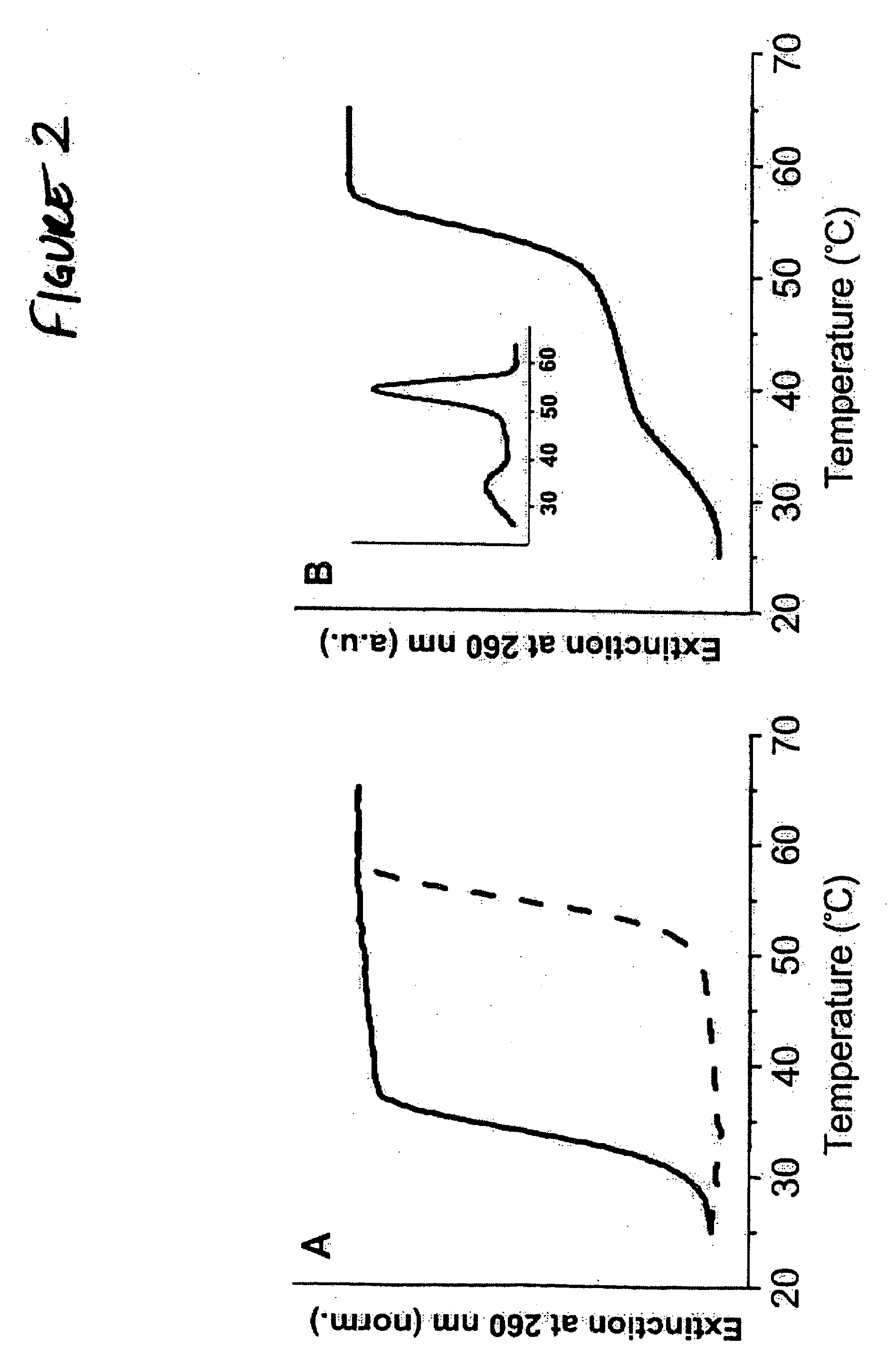 Bio-barcode based detection of target analytes