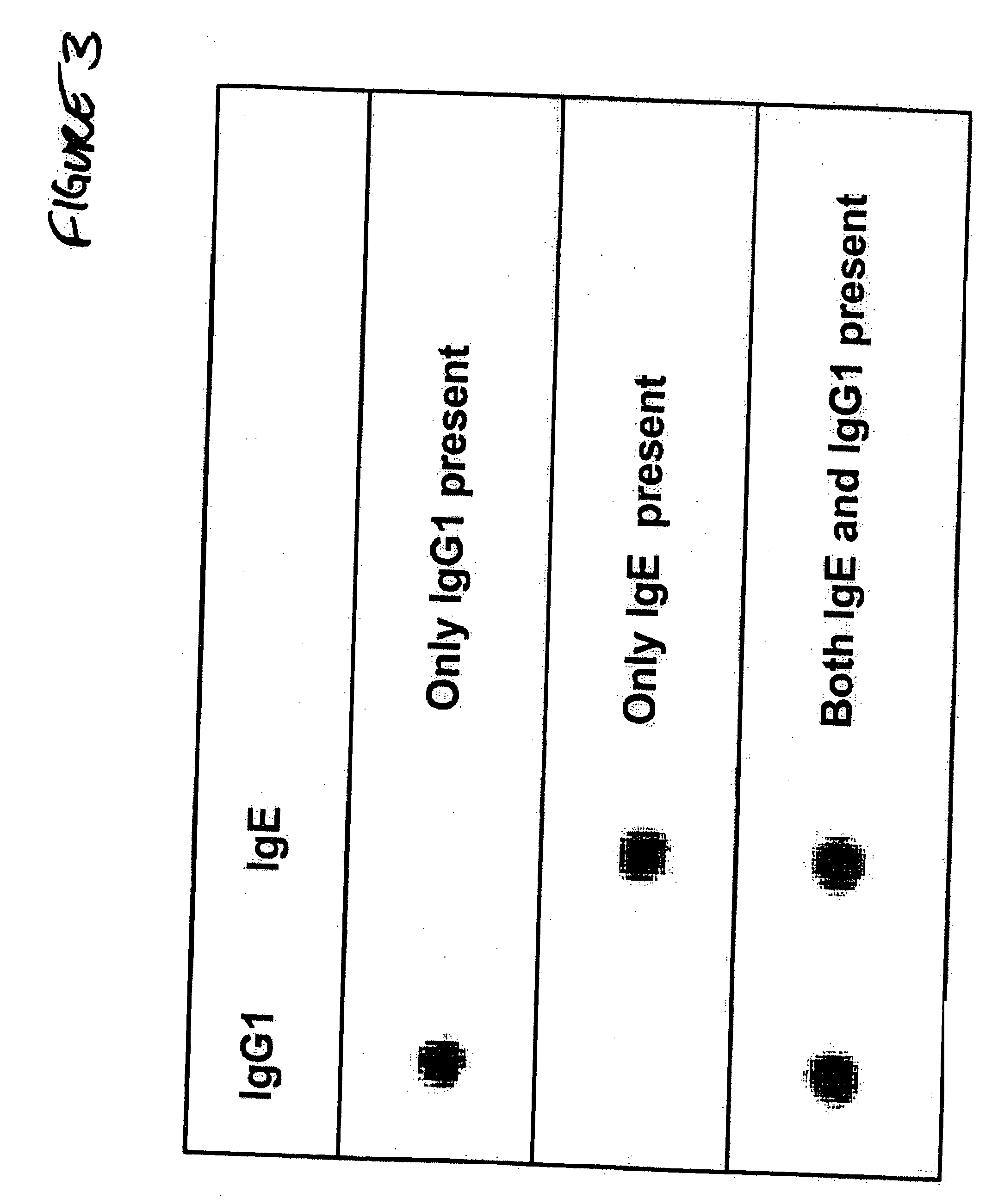 Bio-barcode based detection of target analytes