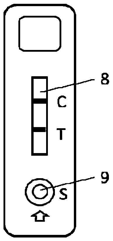 Time resolution fluorescent quantitative test strip for detecting ralstonia solancearum in tobacco leaves and preparation method and application thereof