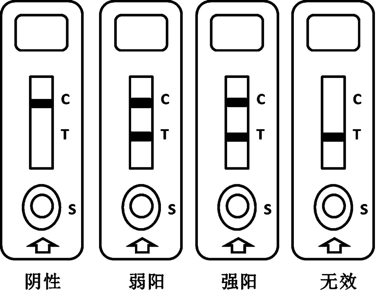 Time resolution fluorescent quantitative test strip for detecting ralstonia solancearum in tobacco leaves and preparation method and application thereof