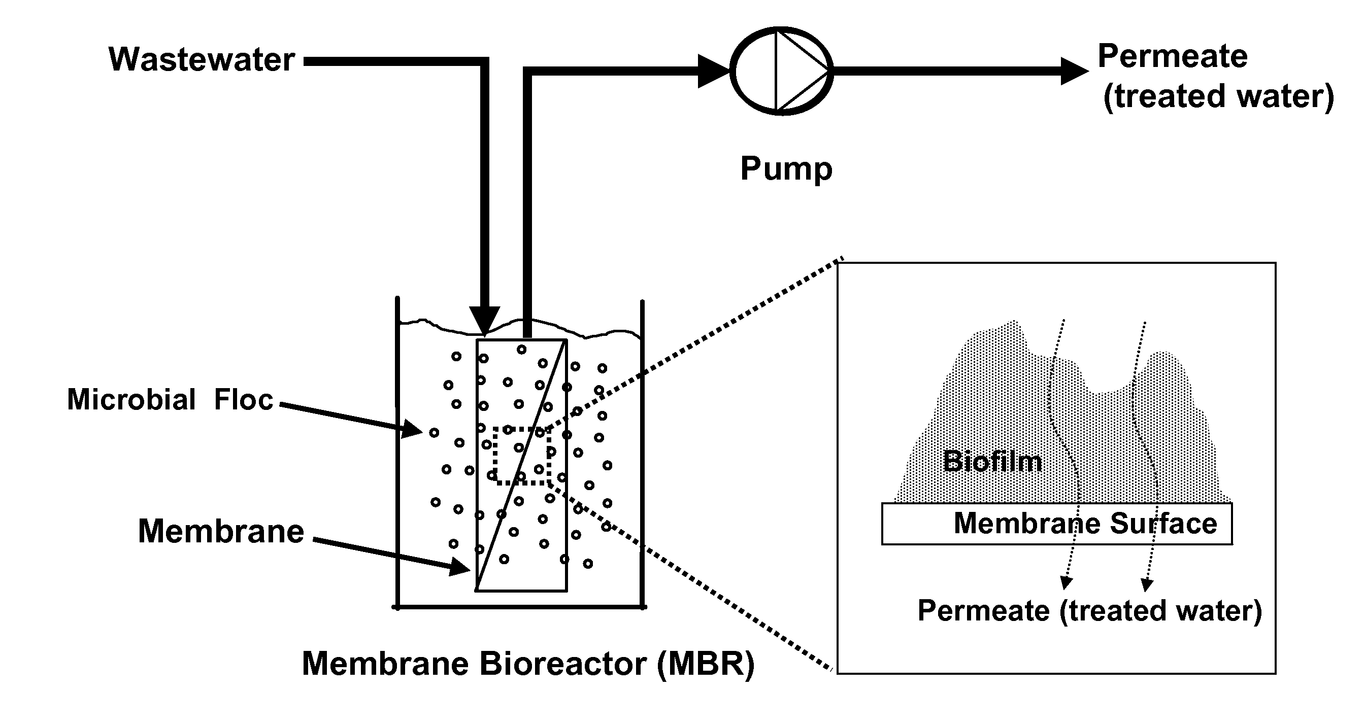 Magnetic carrier comprising enzyme for inhibiting biofilm formation immobilized thereon, and membrane bioreactor system and method for inhibiting biofilm formation using the same