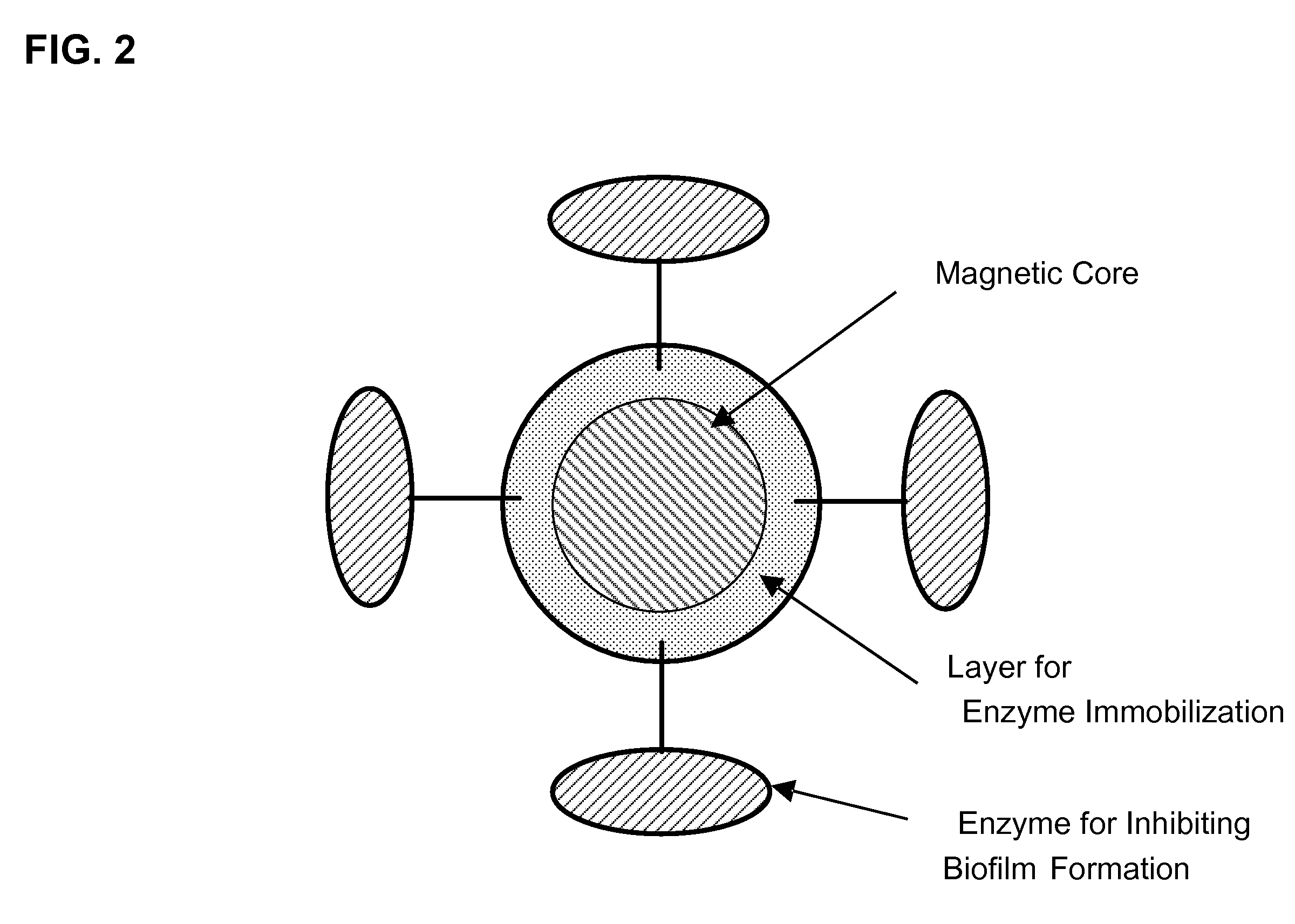 Magnetic carrier comprising enzyme for inhibiting biofilm formation immobilized thereon, and membrane bioreactor system and method for inhibiting biofilm formation using the same