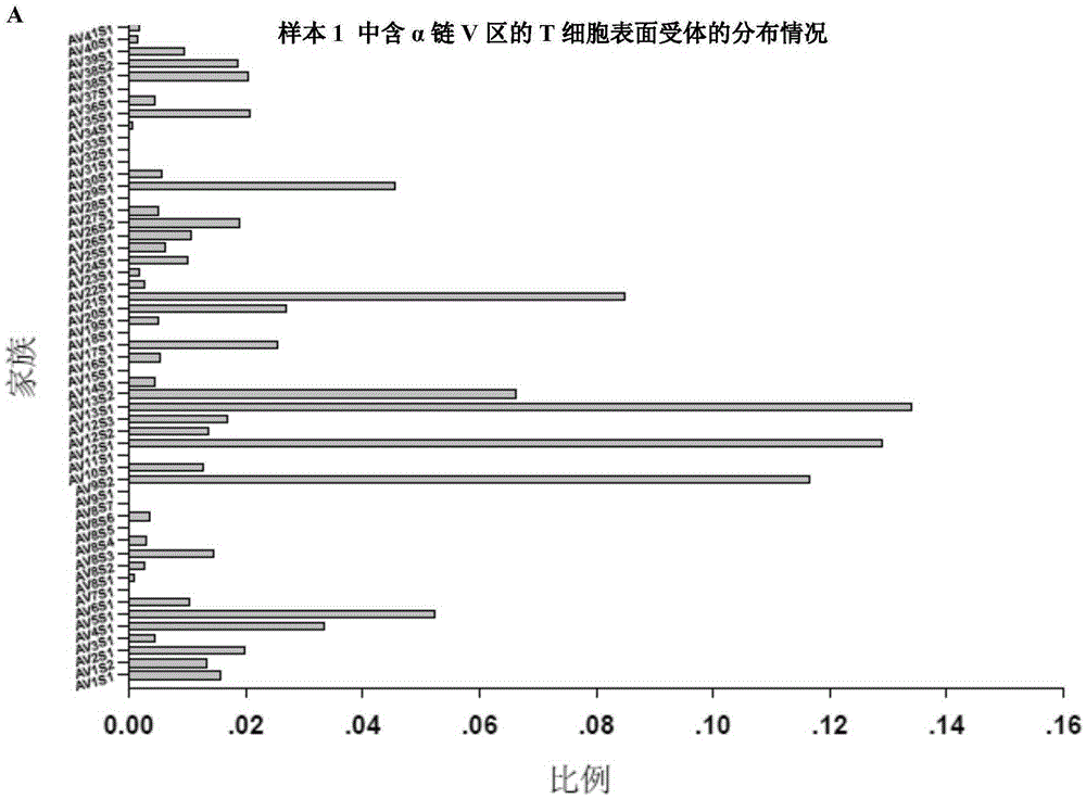 Method for simultaneously detecting multiple trace sample TCR (T cell receptor) repertoires