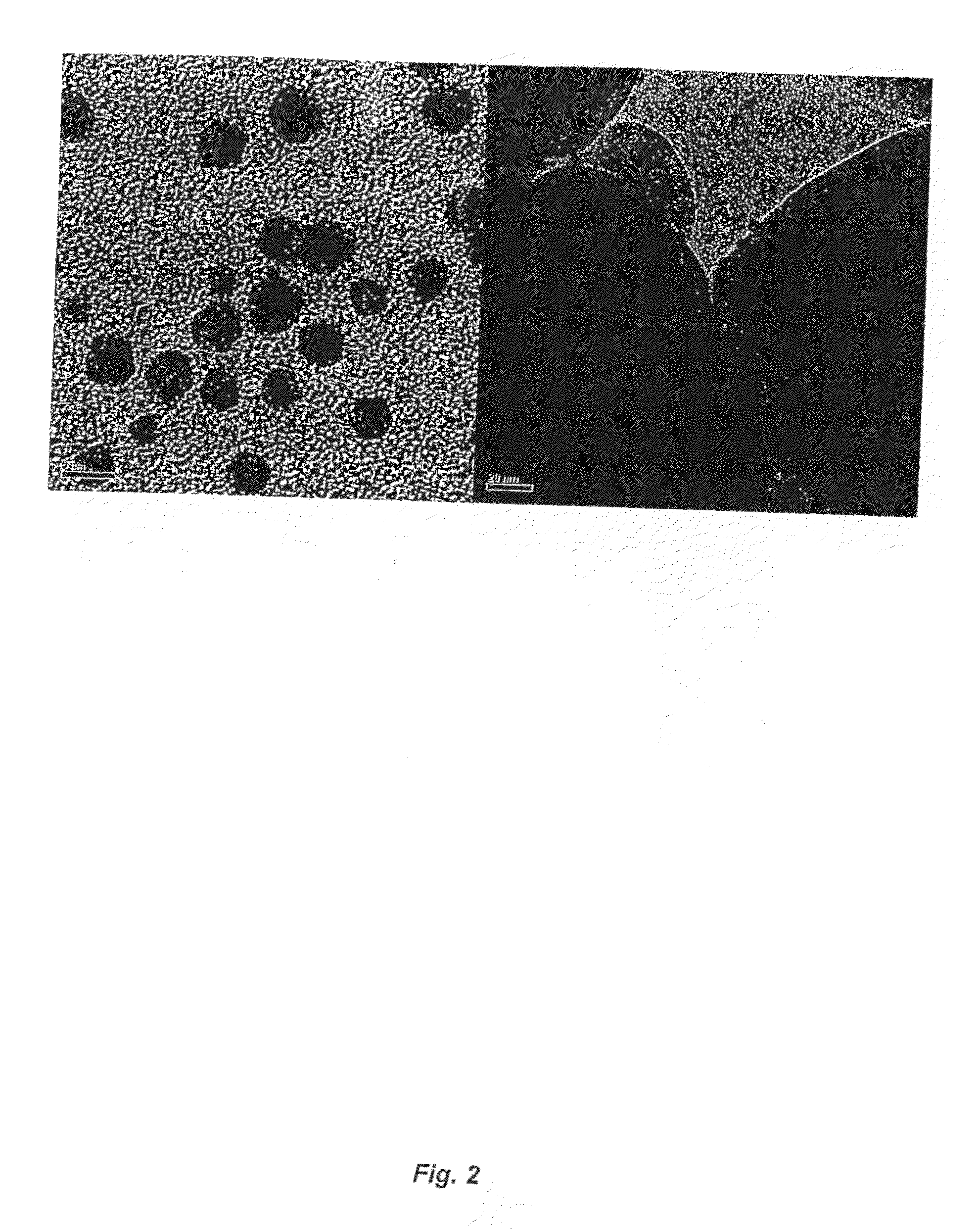 Highly Dispersed Metal Catalysts