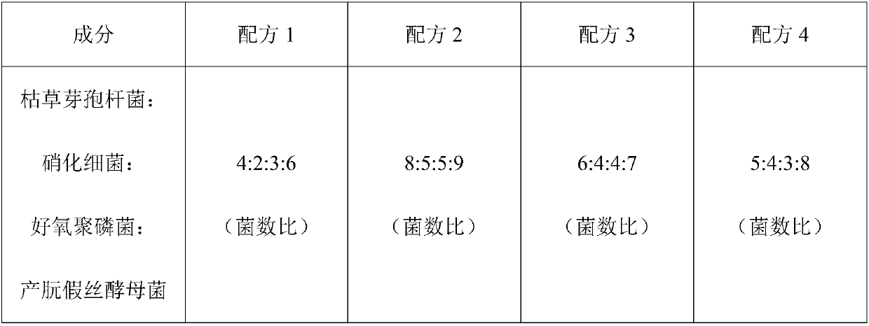 Compound microorganism water purifier and preparation method and application thereof