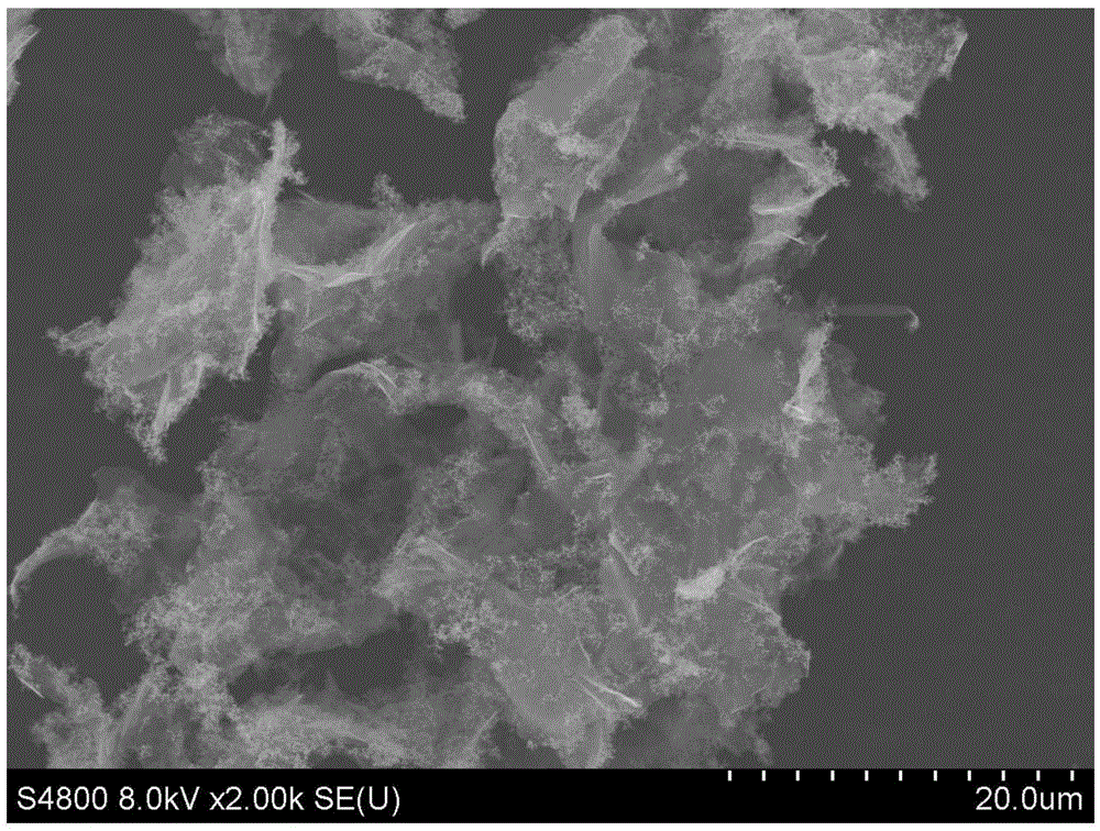 Graphene compound conductive powder and preparation method thereof