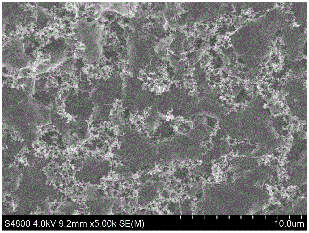 Graphene compound conductive powder and preparation method thereof