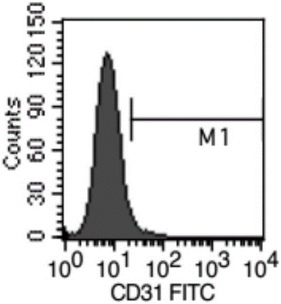 Separation method and application of placenta-derived stem cells