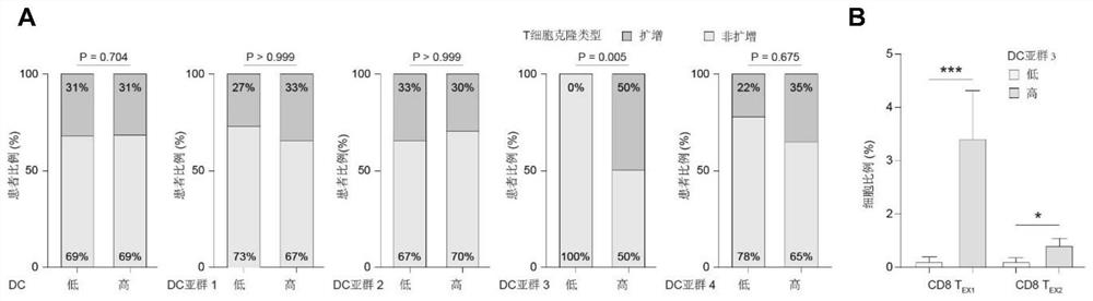 Detection method of triple negative breast cancer immunotherapy curative effect prediction marker CCL19