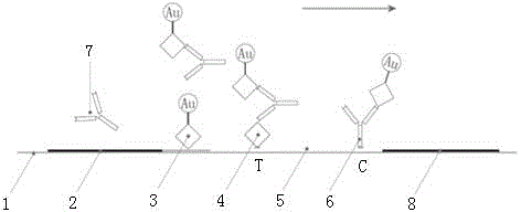 Milk allergen test plate and preparation method thereof