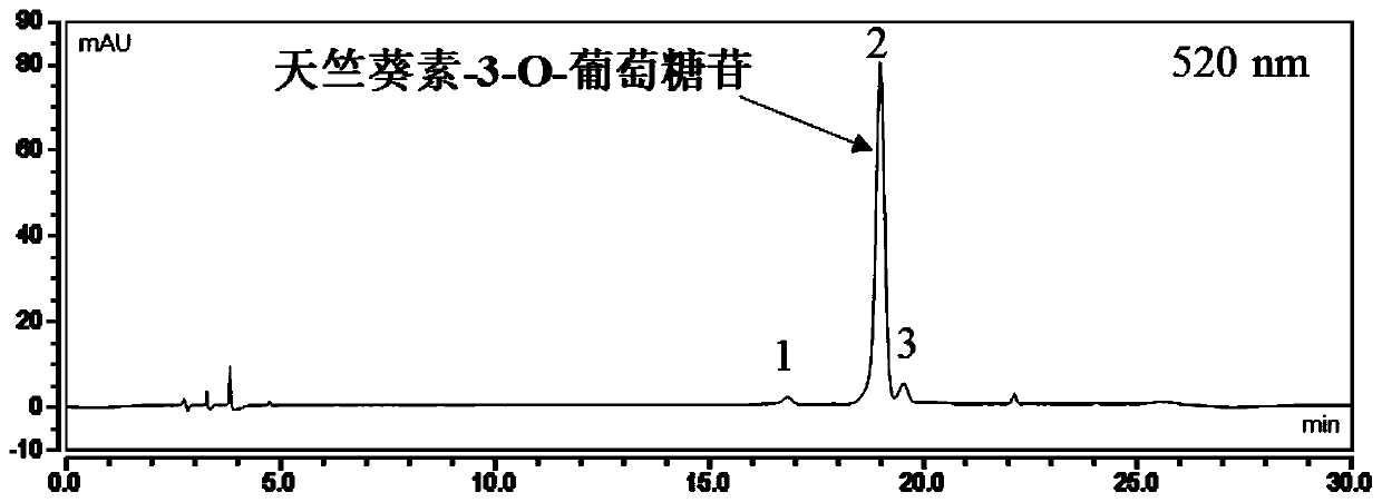 A kind of anthocyanin and use thereof