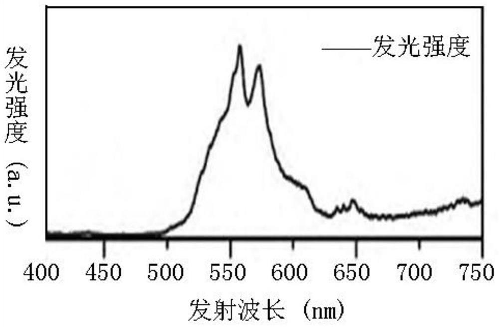 Synthesis method and application method of "BYP tracer"