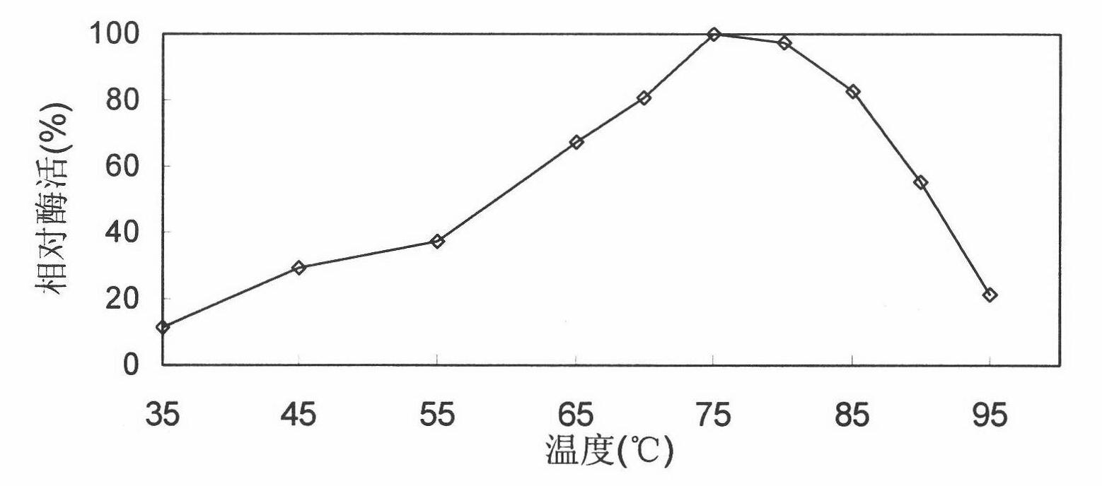 Thermophilic alkali-resistant xylanase recombinant engineering bacterium BL21-XA and application thereof