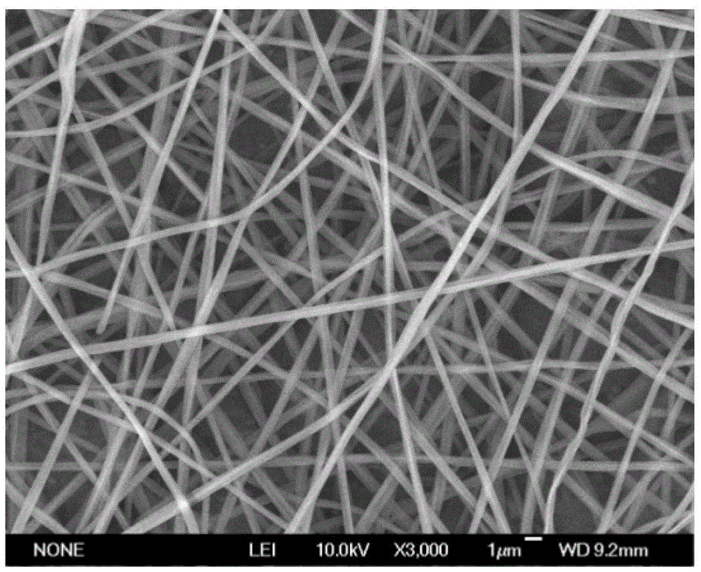 A kind of chitosan nanofibrous membrane for dura mater or dura mater repair and its preparation method and application