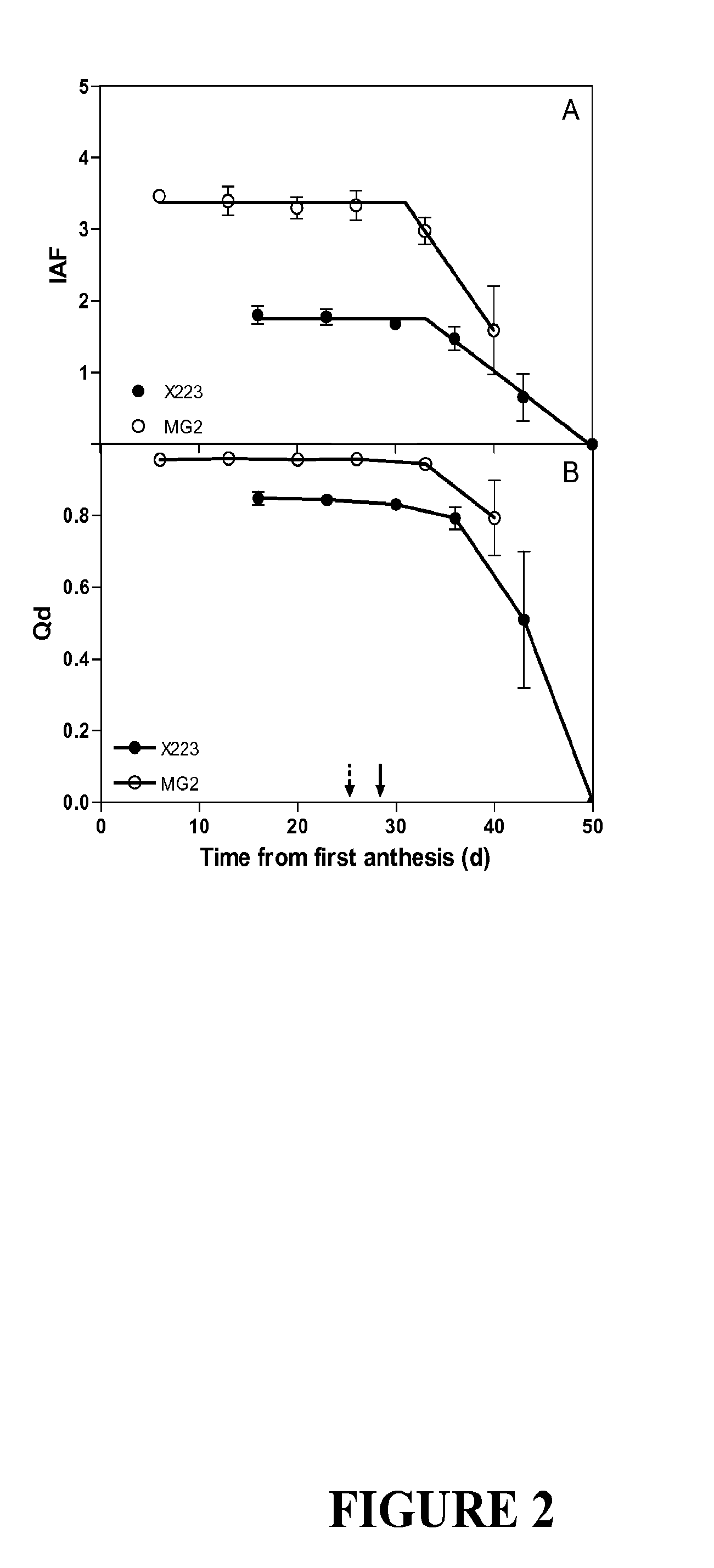 Dominant earliness mutation and gene in sunflower (helianthus annuus)