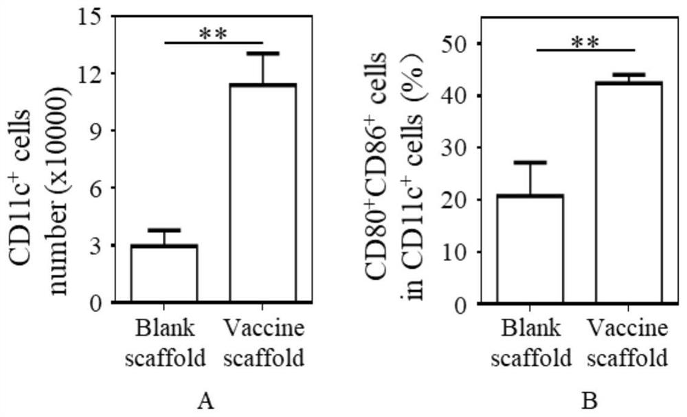 Whole-cell tumor vaccine scaffold and preparation method thereof