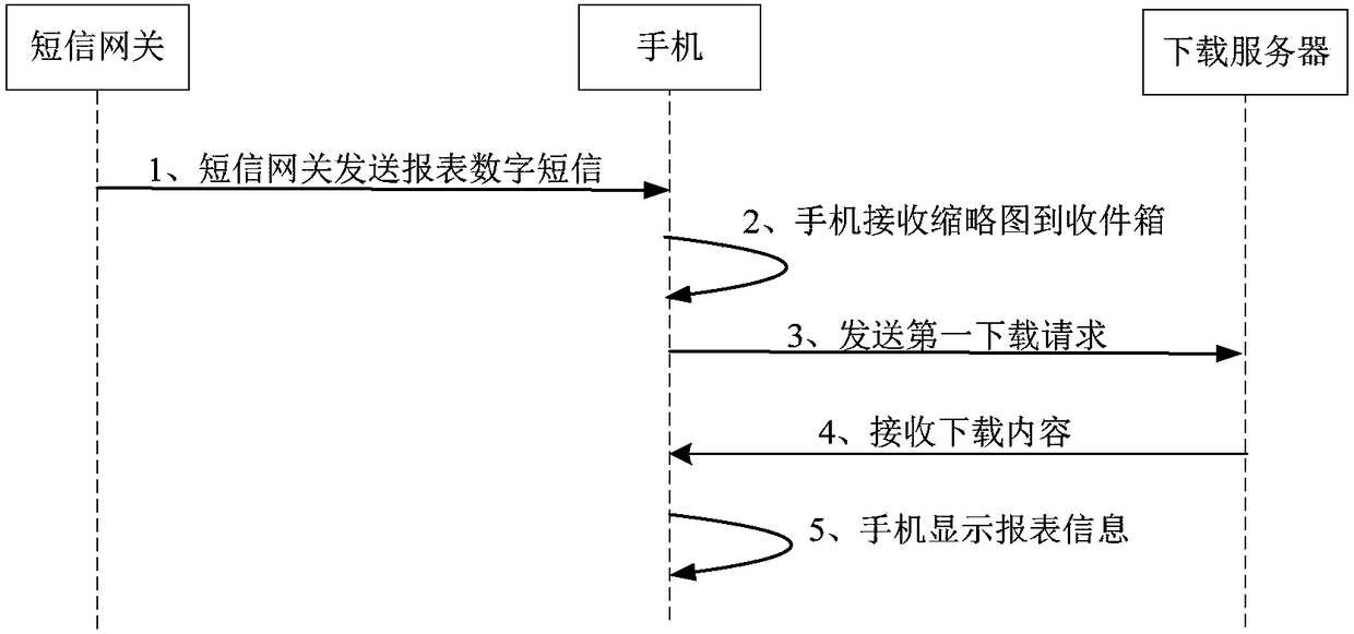 Report display method, device and system