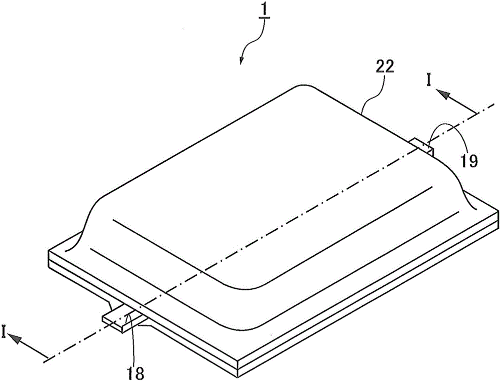 Lithium ion secondary battery and method for manufacturing the same