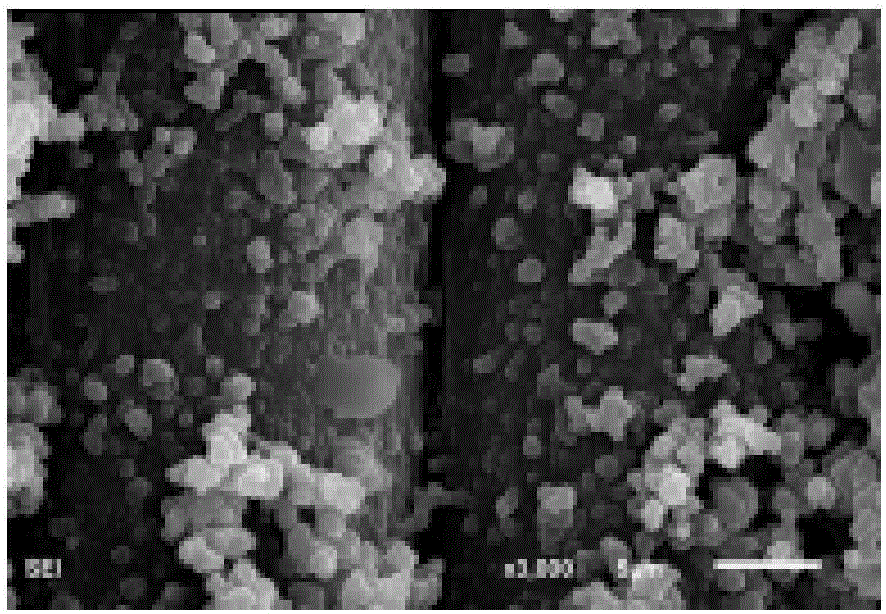 Knittable fiber-based transistor glucose sensor and preparation method of knittable fiber-based transistor glucose sensor