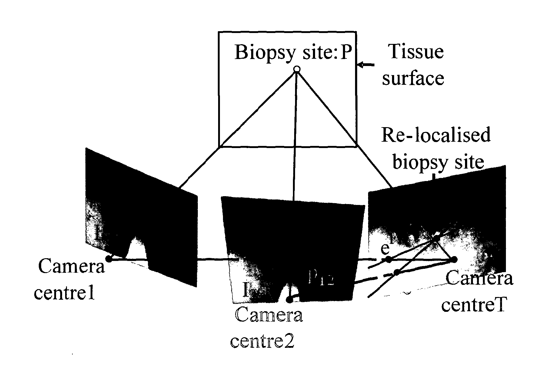 Apparatus and method for determining a location in a target image