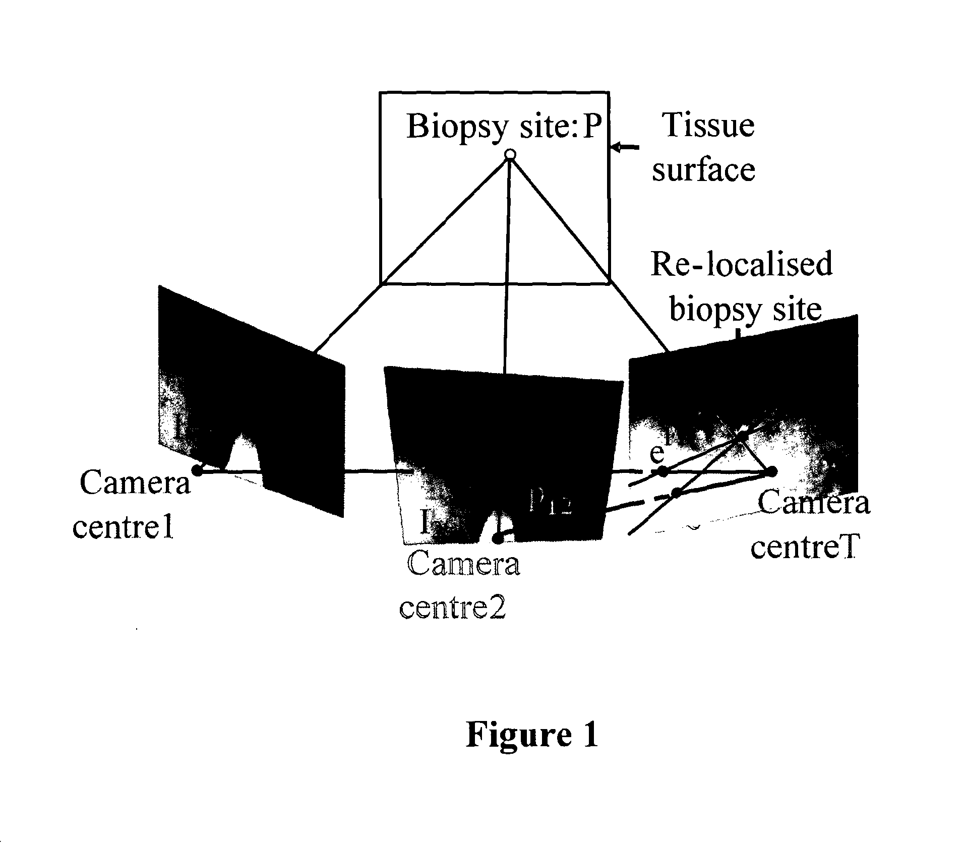 Apparatus and method for determining a location in a target image