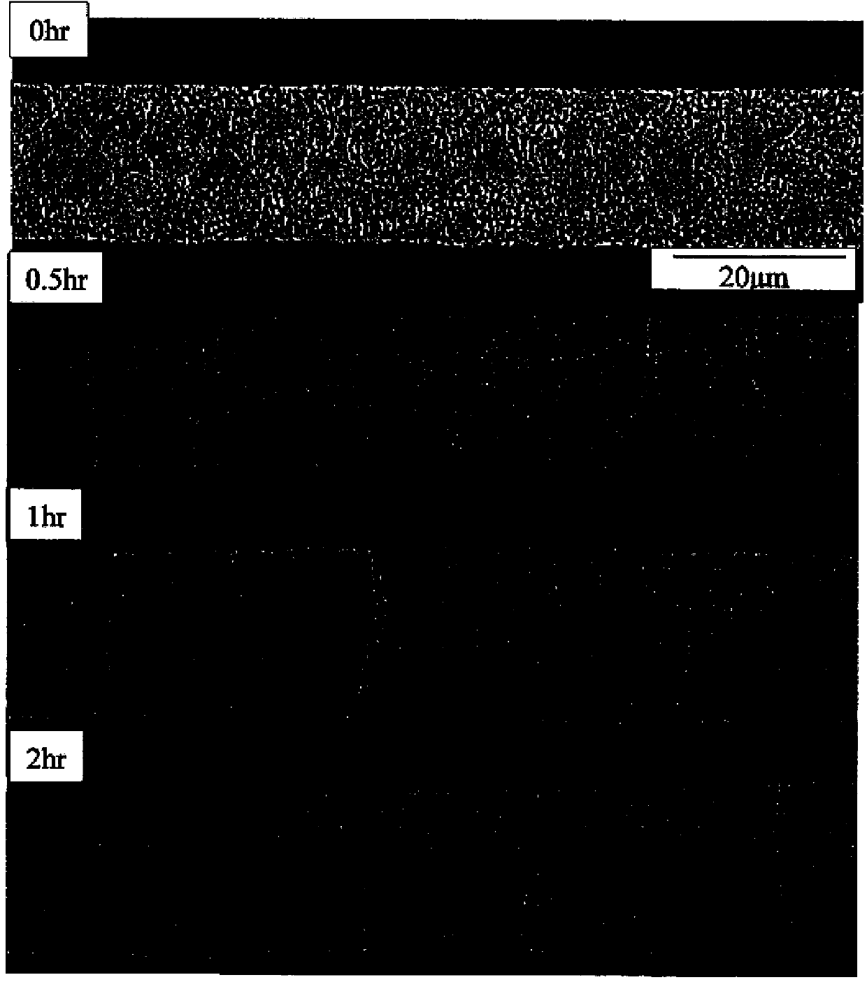 Palladium mesh alloy wire without plating thereon and method for manufacturing the same