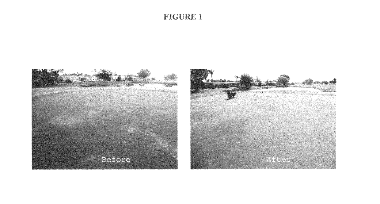 Compositions and methods for improving plant health