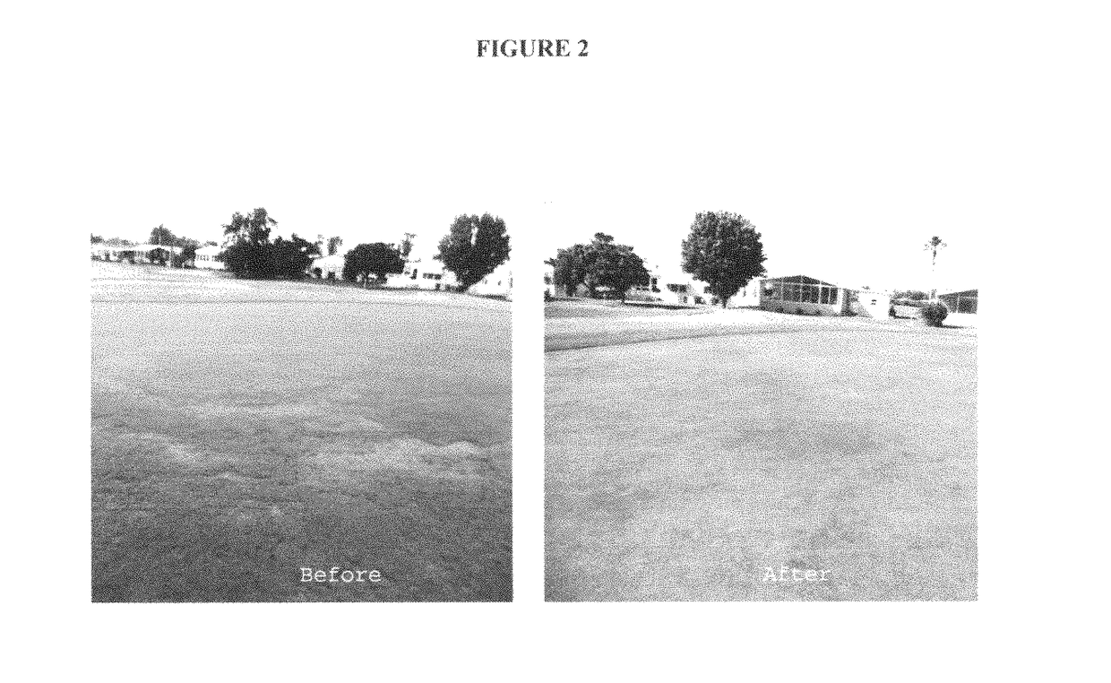 Compositions and methods for improving plant health