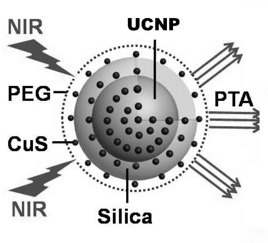 Preparation method and application for multifunctional nanometer diagnosis and treatment agent integrating light emitting/CT/MR multi-mode imaging and tumor hyperthermia