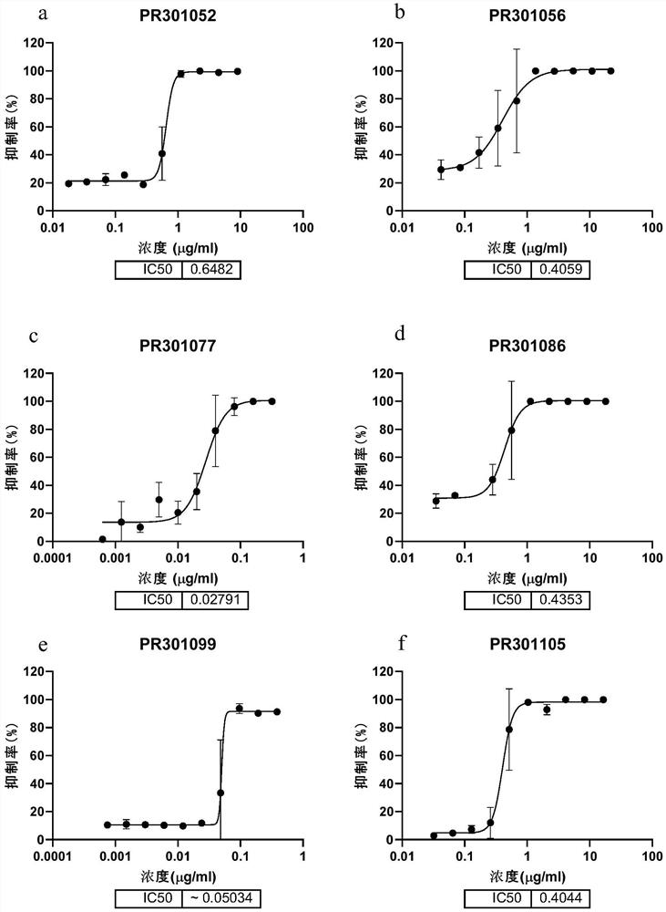 Anti-coronavirus antibody and application thereof