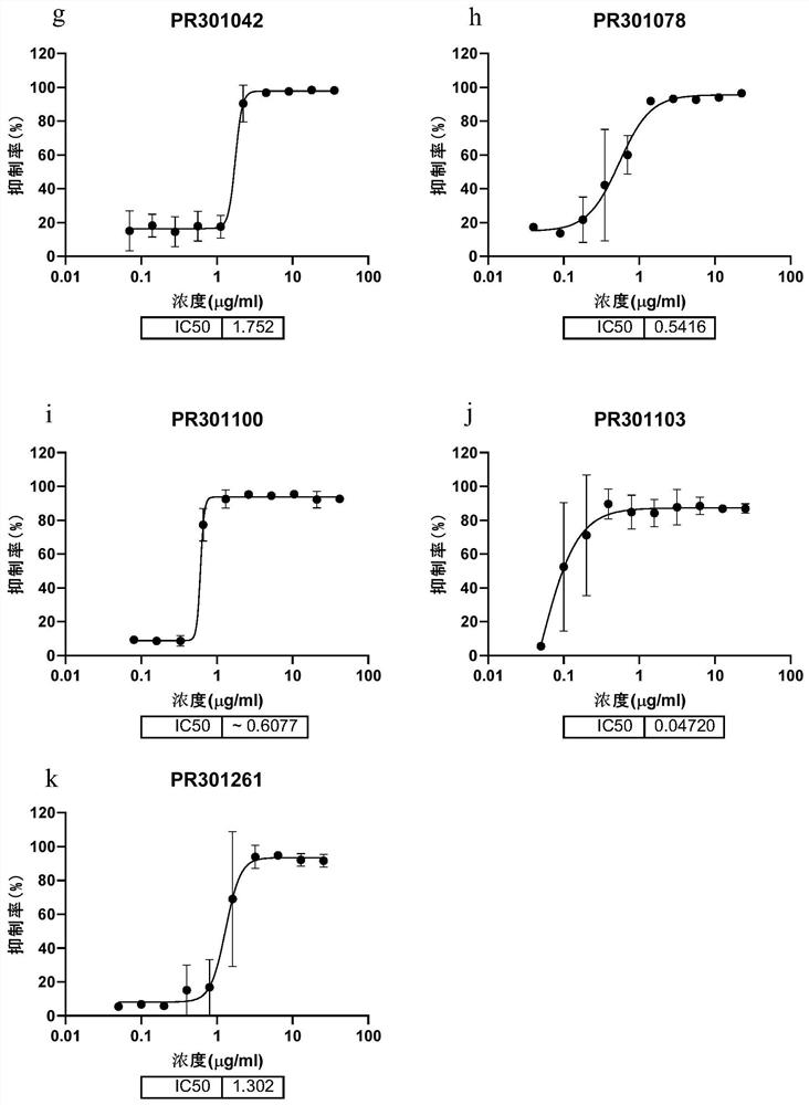 Anti-coronavirus antibody and application thereof