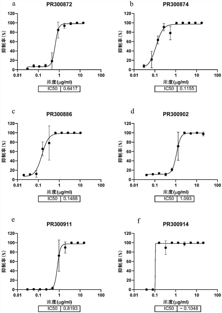 Anti-coronavirus antibody and application thereof