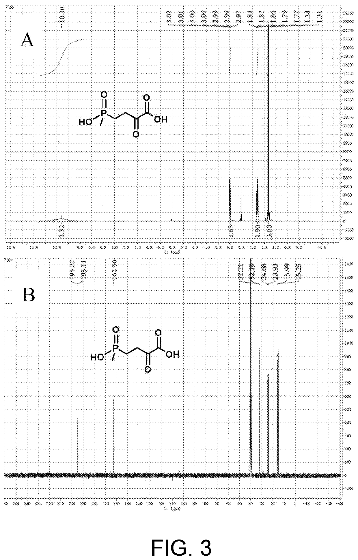 Glutamate dehydrogenase mutant and application thereof