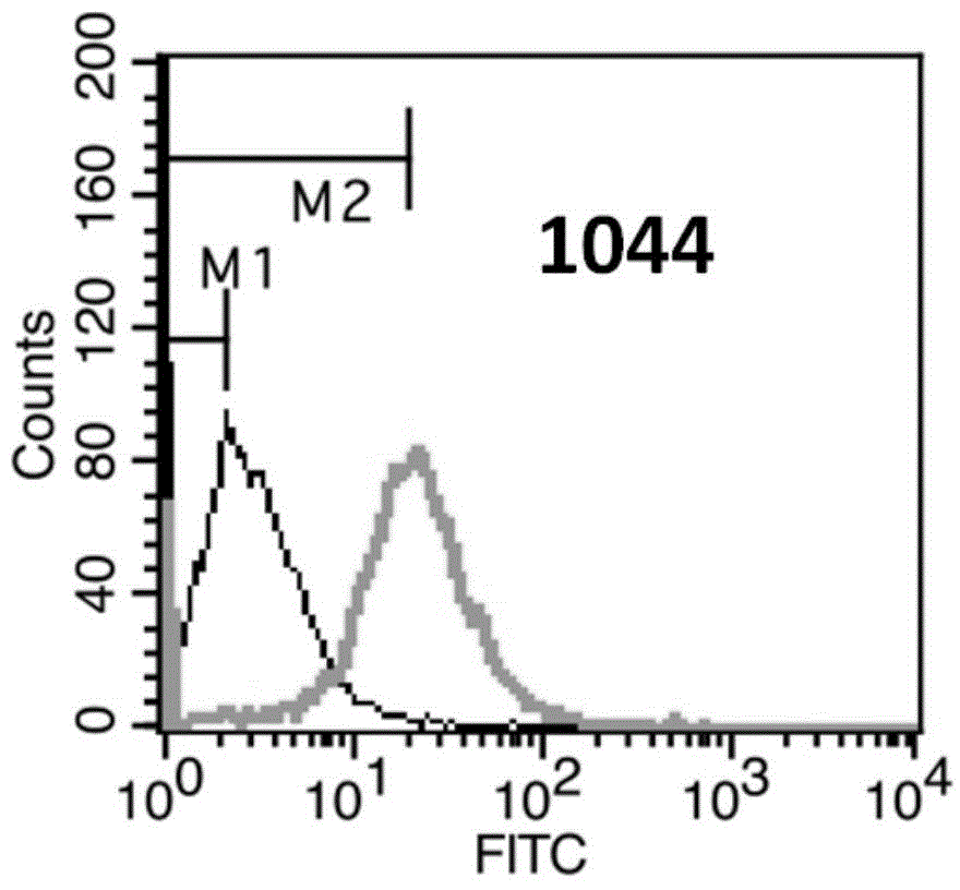 Anti-HER3 antibody, preparing method thereof and applications of the antibody