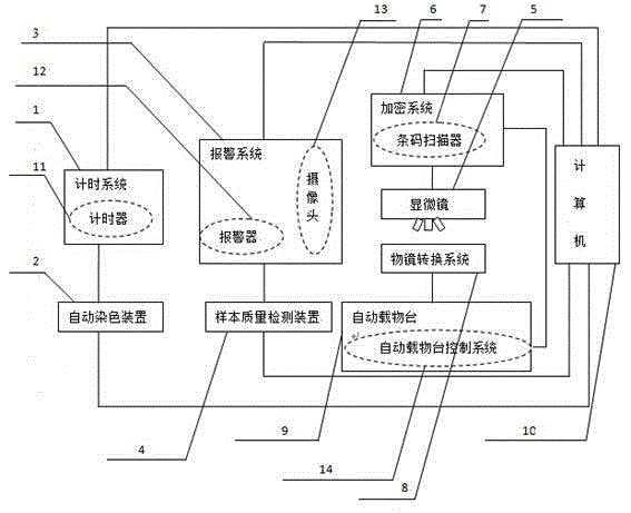 Automatic bone marrow sample processing device, and automated analyzing and radiograph reading method thereof